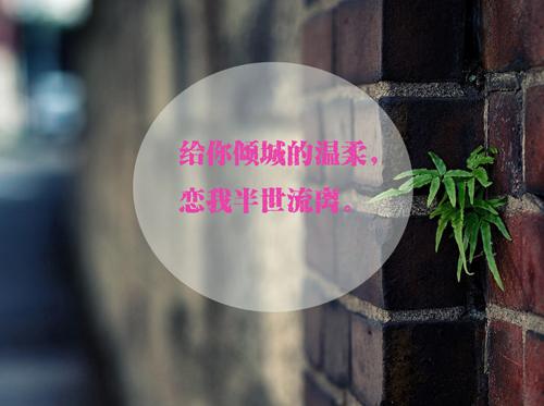 心情随笔文字图片