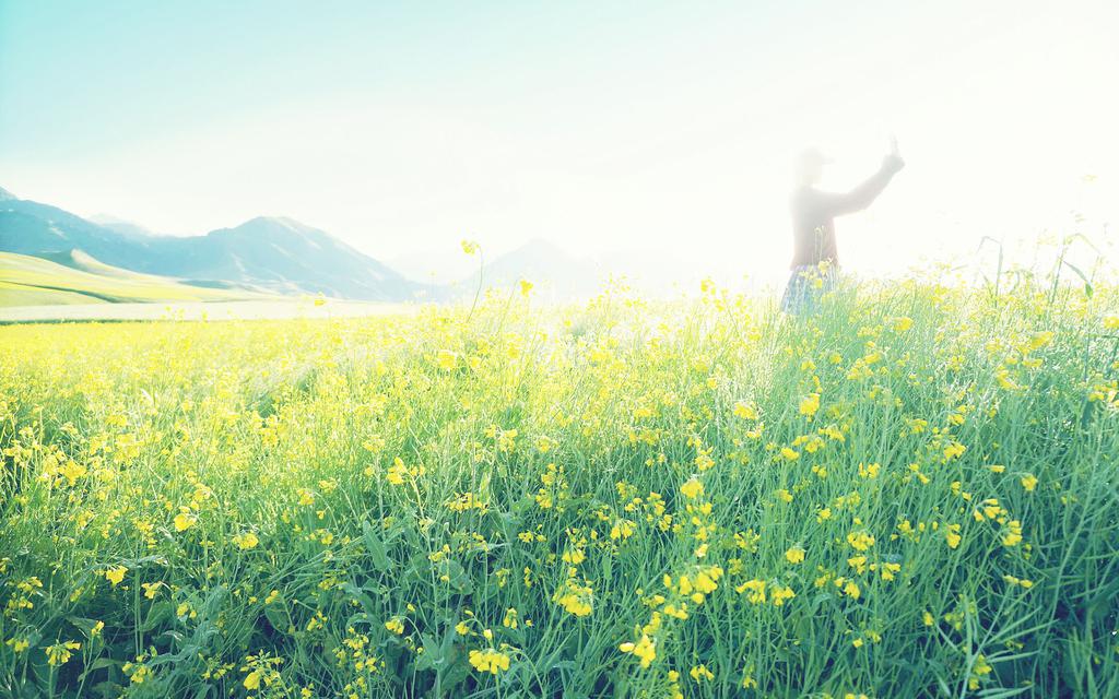 小清新唯美壁纸