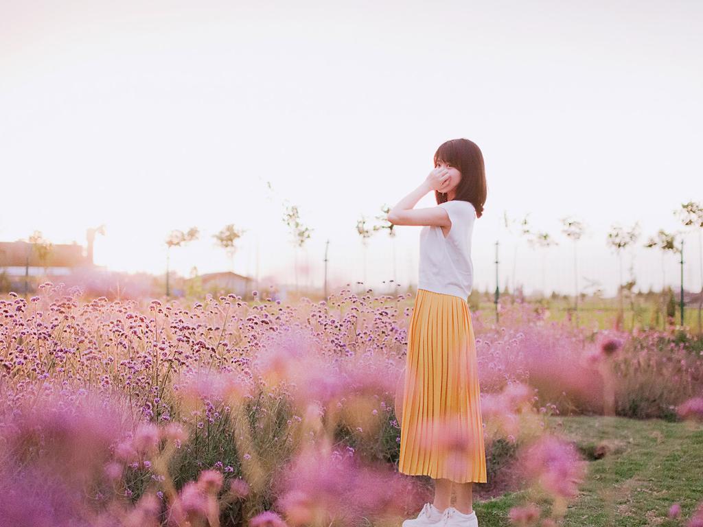 花田里的意境美女壁纸