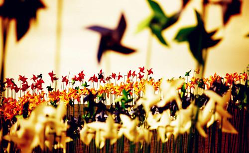 风车唯美意境图片