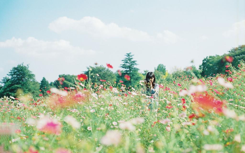 清纯女生花间的绽放