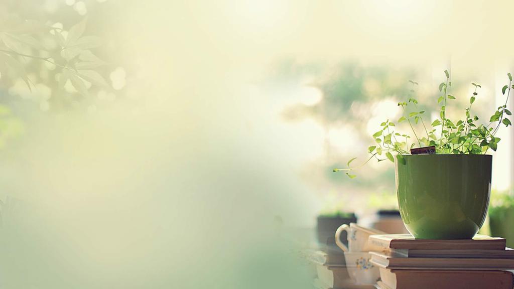 记忆中的旧时光