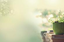 记忆中的旧时光