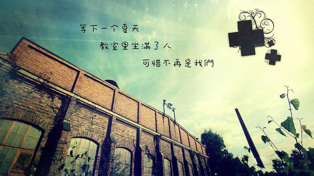 致我们走过的岁月