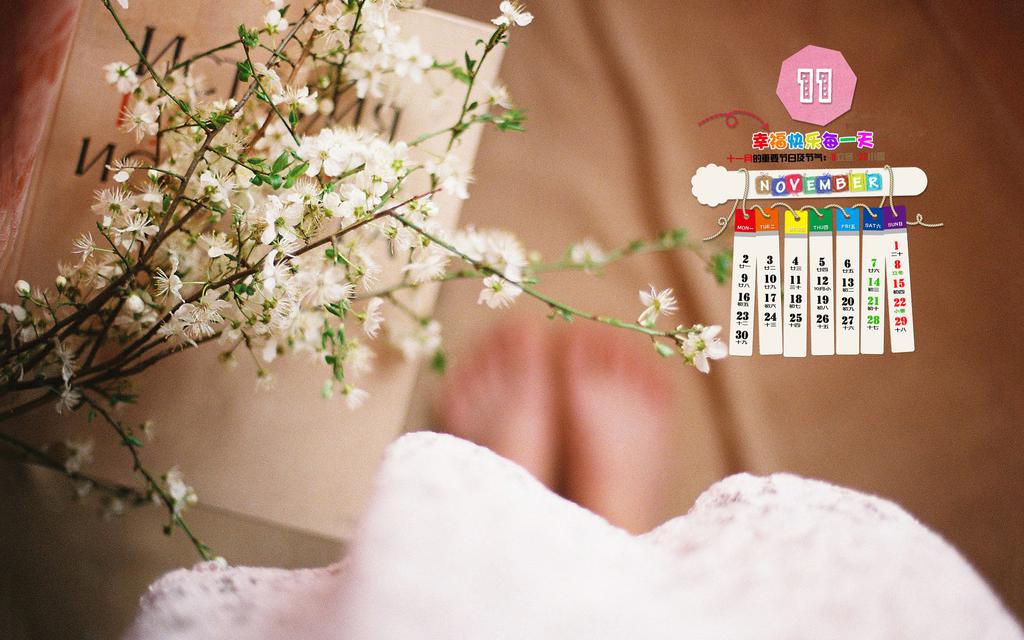 唯美清新11月日历