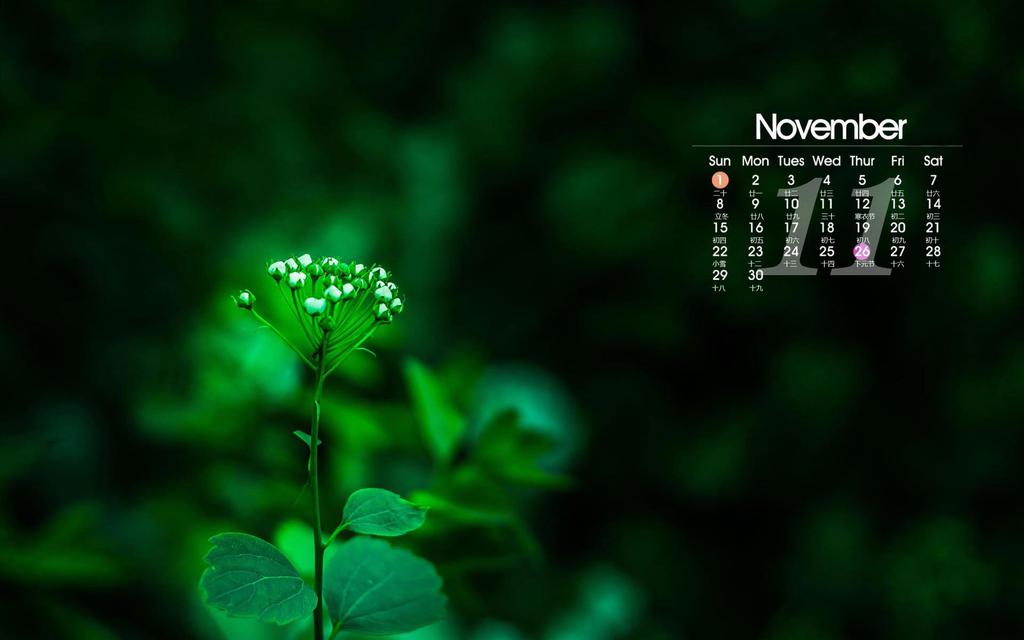 绿色清新11月日历