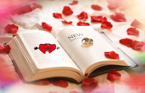 追忆日记本里的秘密