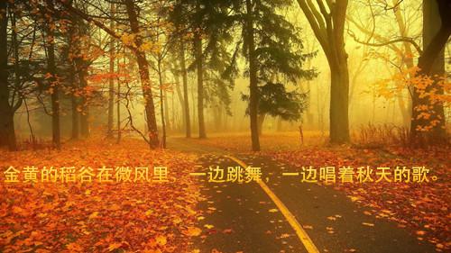 秋天无限美好