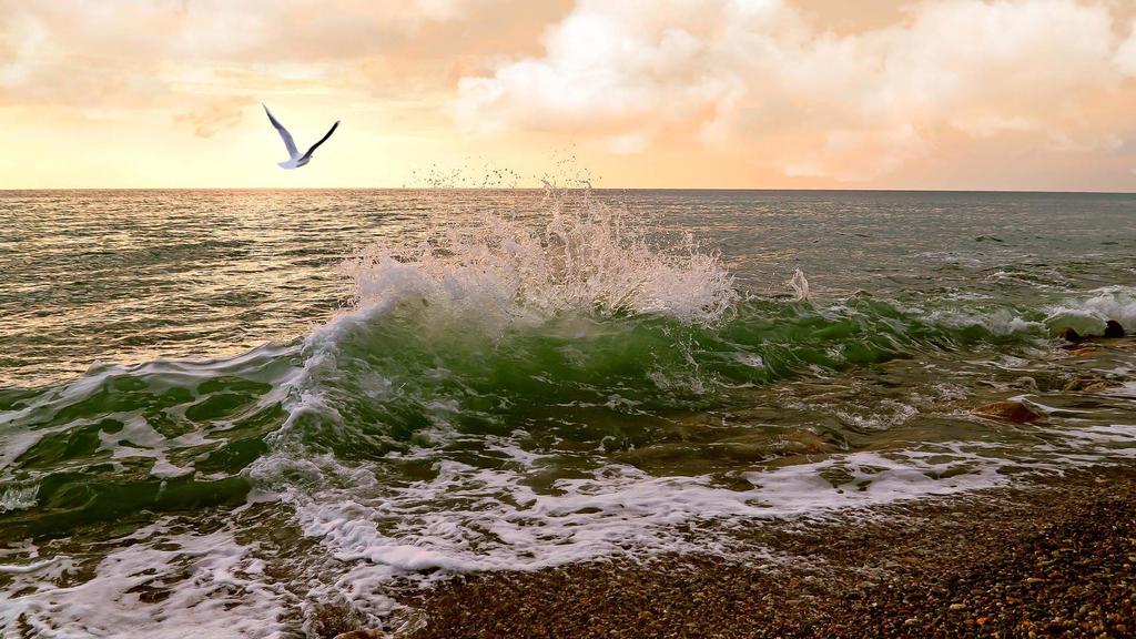 波涛汹涌的大海