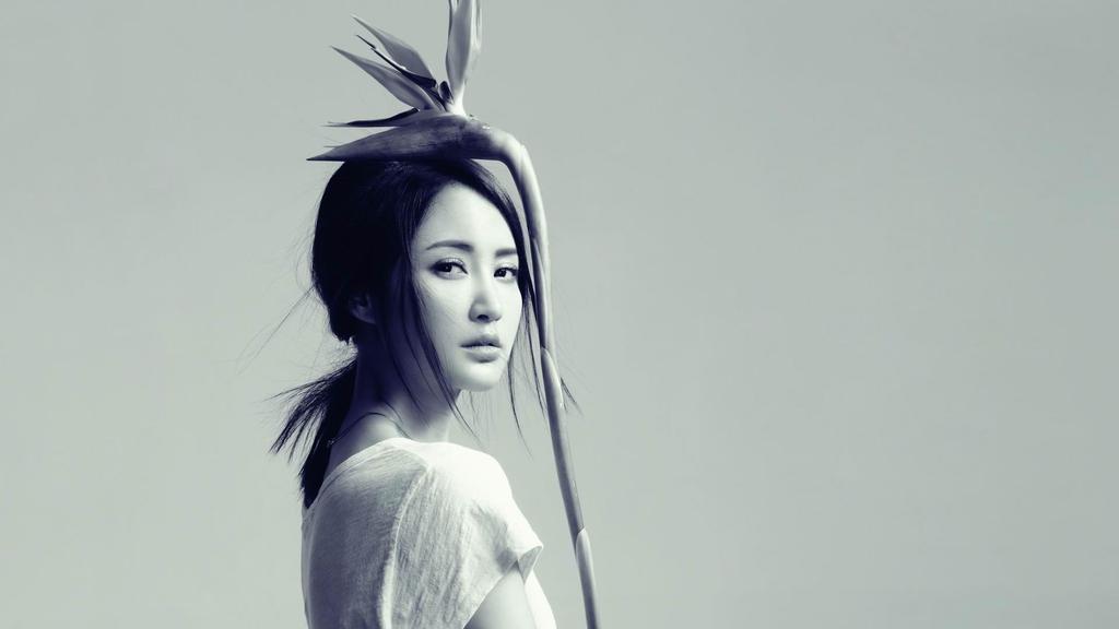 大陆女明星张歆艺