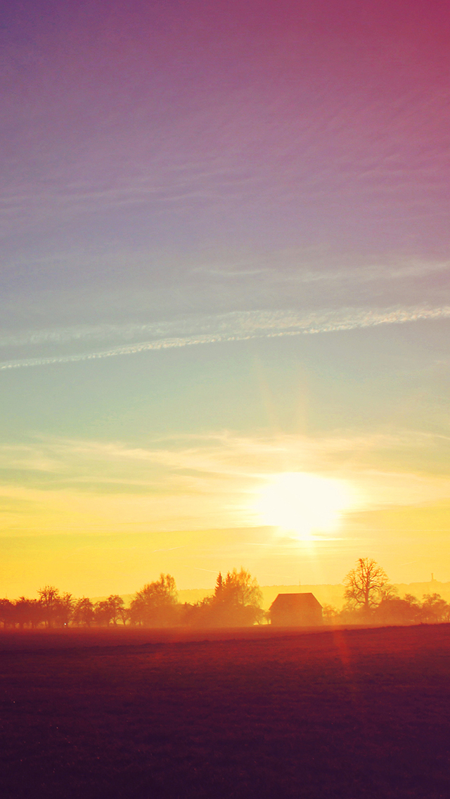 阳光下的花草,高清图片,手机锁屏桌面-壁纸族