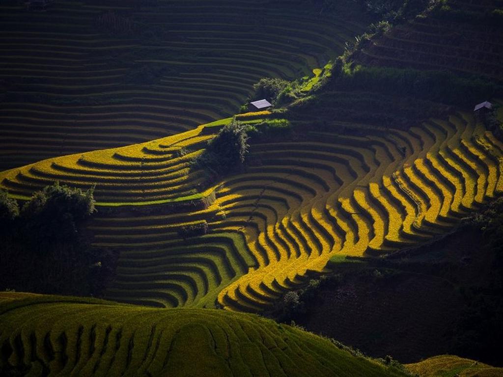 2015国家地理壁纸