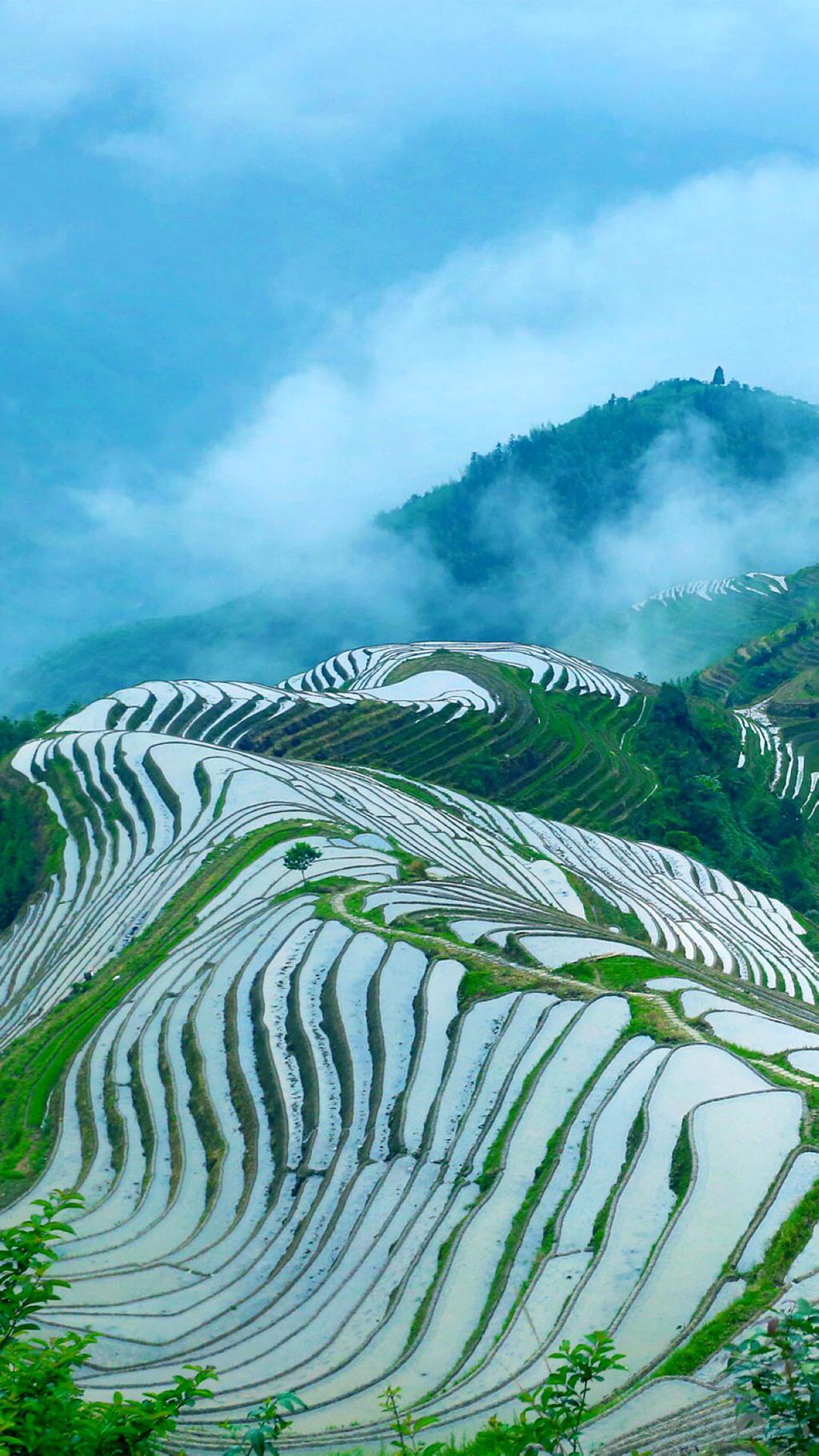 好看的梯田