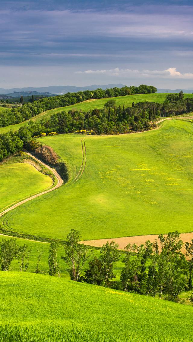 绿色的托斯卡纳