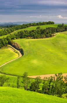 绿色的托斯卡纳-3