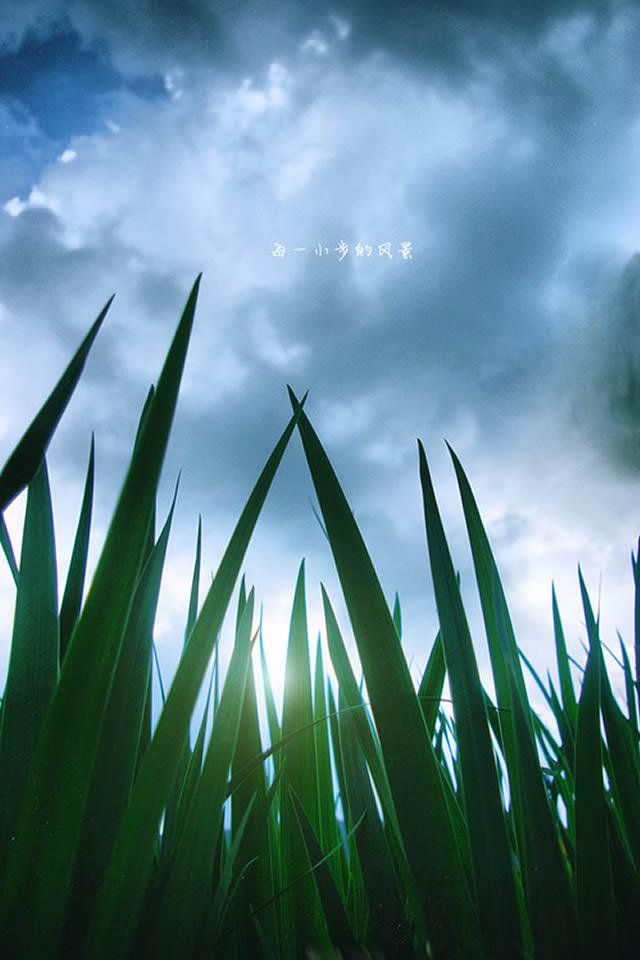 每一小步的风景