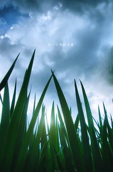 每一小步的风景-0