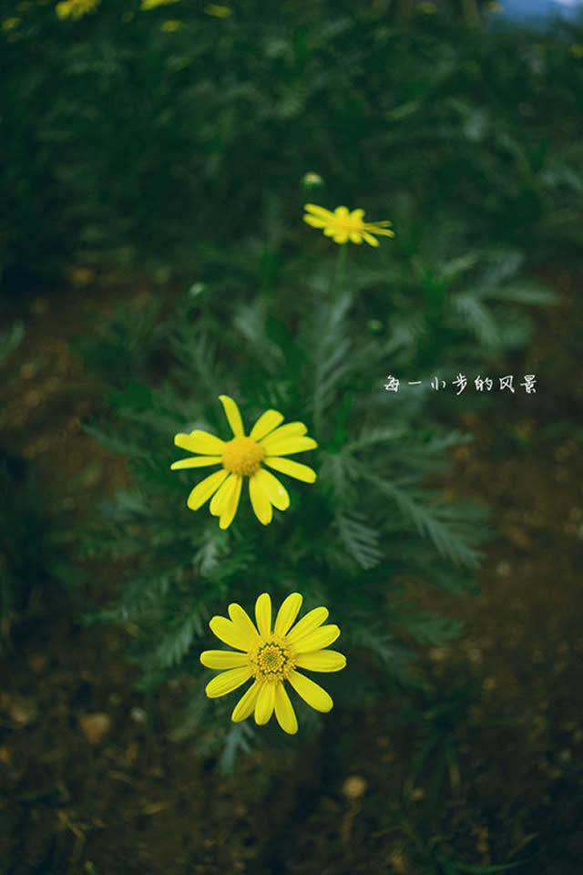 每一小步的风景