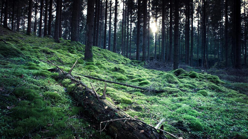 高清护眼自然唯美风景