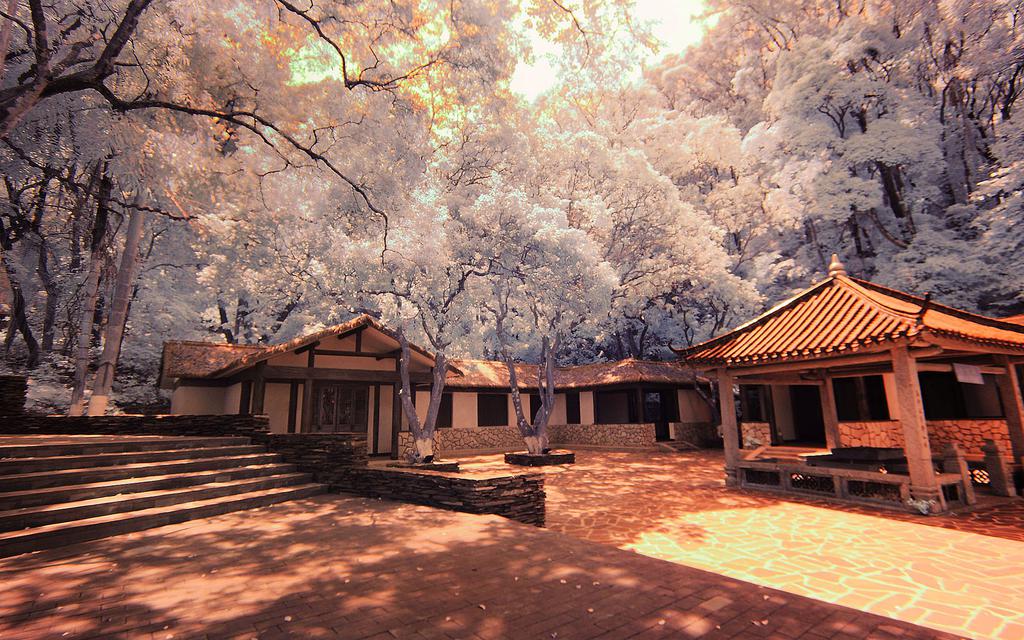 惠州罗浮山道观