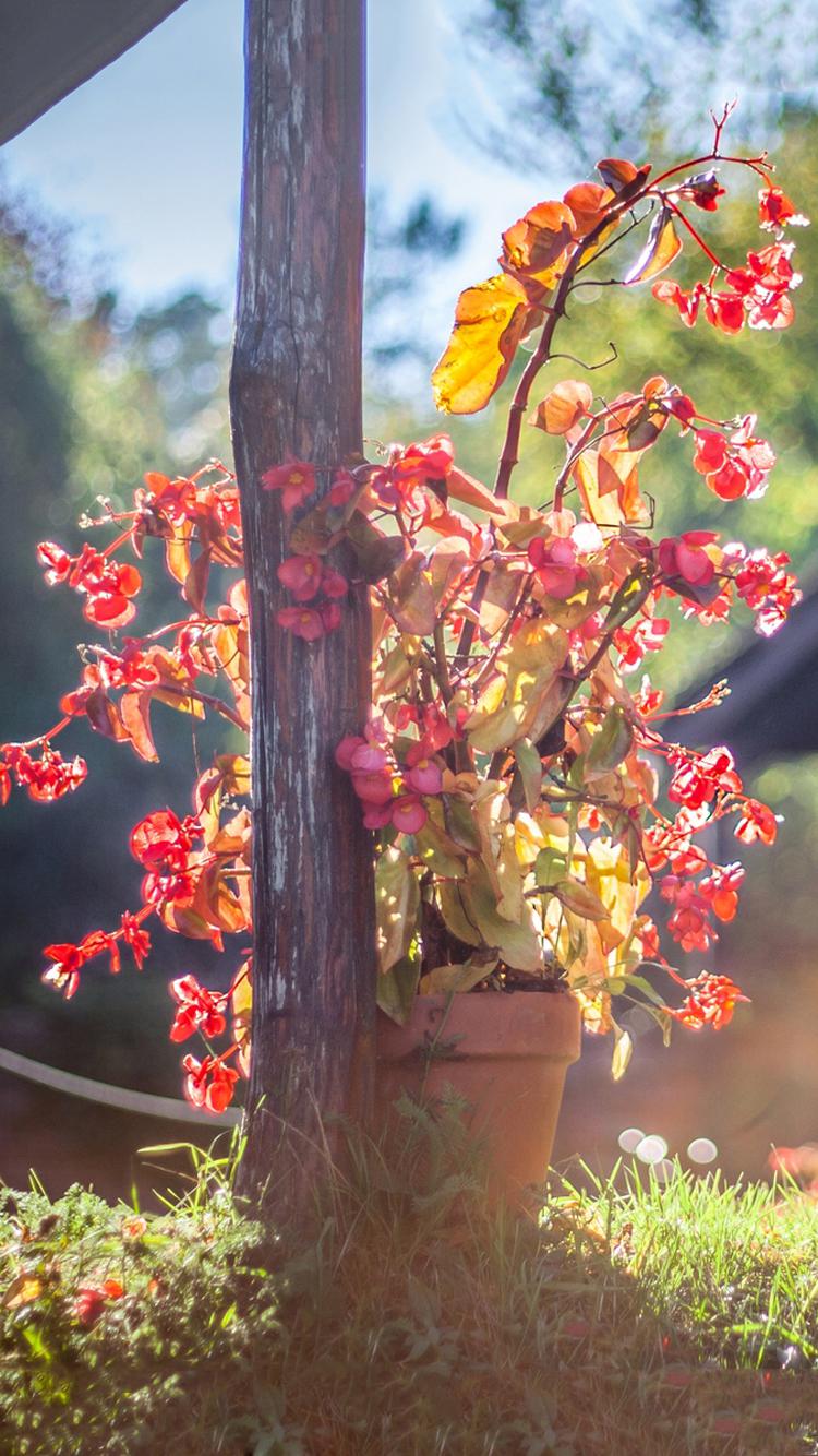 温暖阳关户外风景
