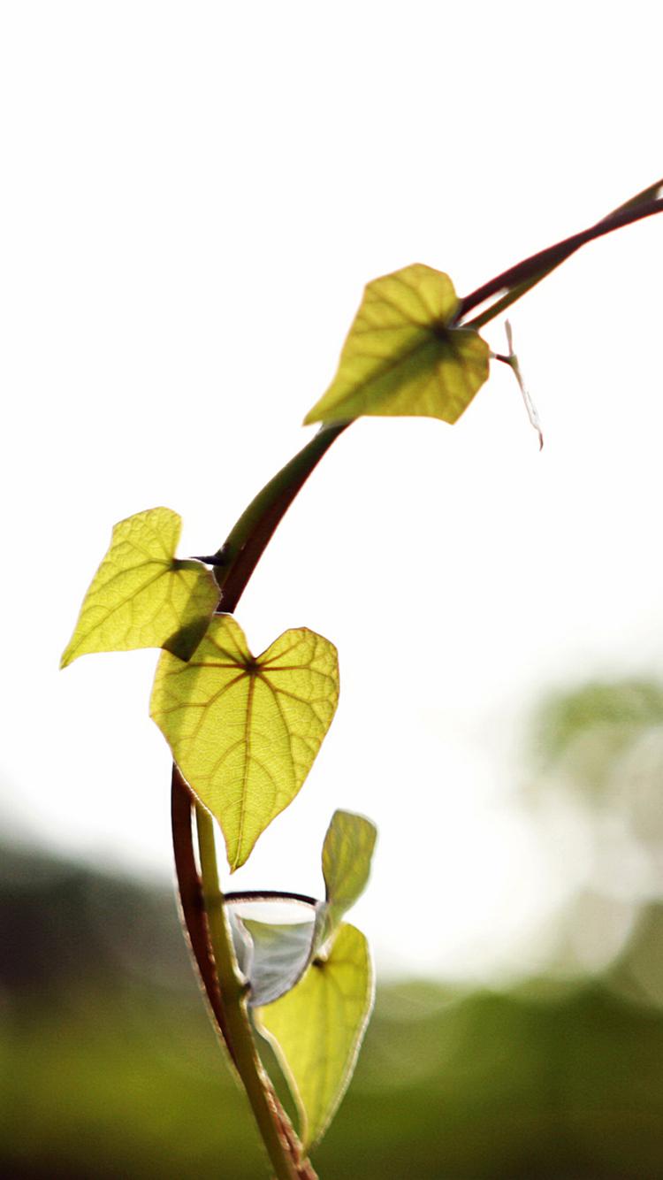 温暖阳关户外风景