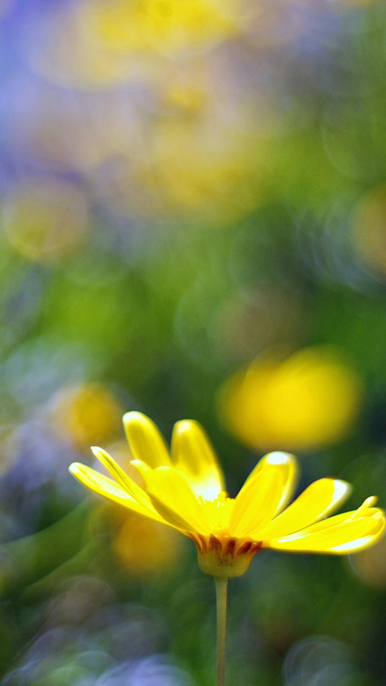 温暖阳关户外风景