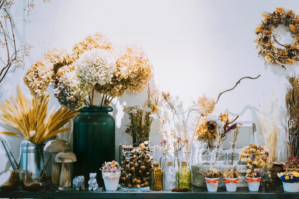 室内小清新花卉