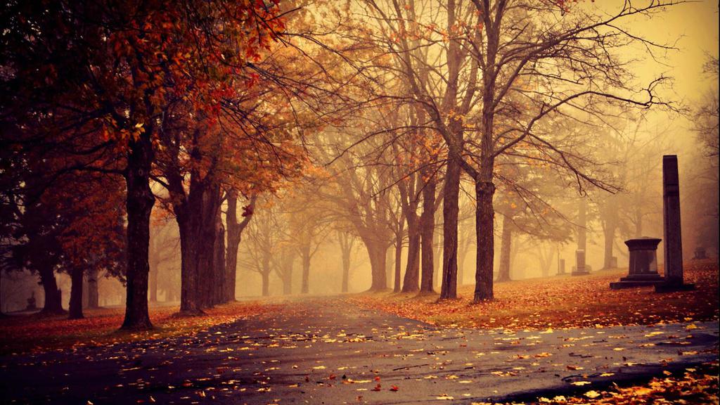 唯美秋季枫叶美景