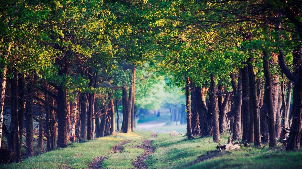 唯美清新山水风景