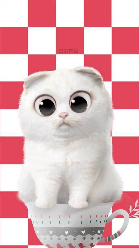 萌宠可爱白猫