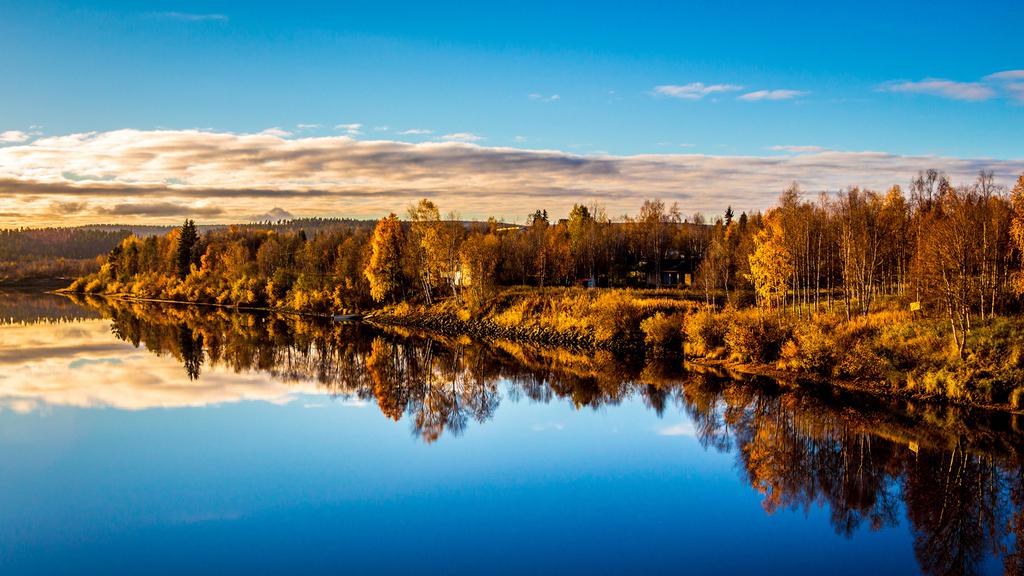 自然魅力绿色风景