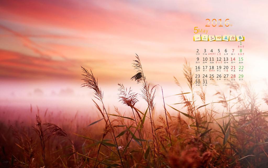 2016年5月日历