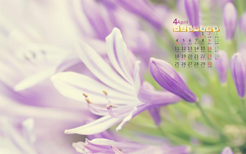 2016年4月淡雅日历