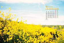 2016年10月清新日历