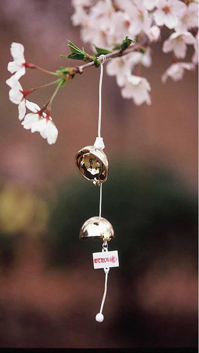 悄然绽放的樱花