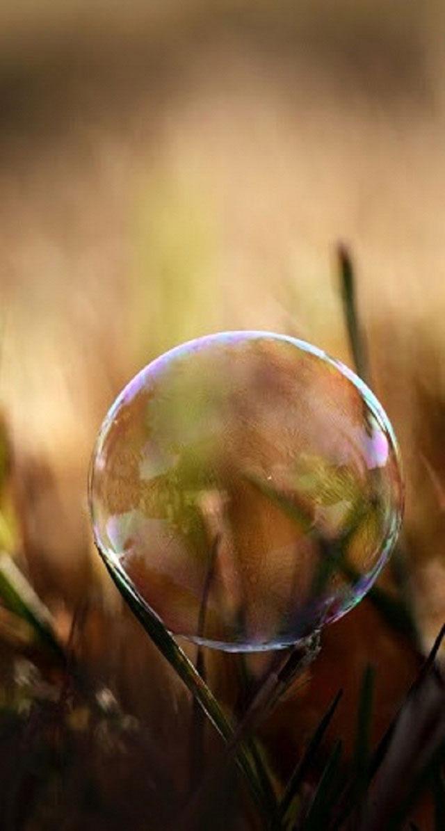 如梦如幻的泡影