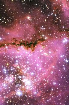 夜空闪亮的星星-5