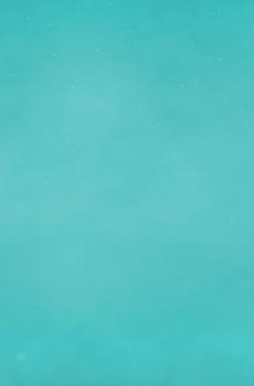 坚果手机U1内置壁纸-4