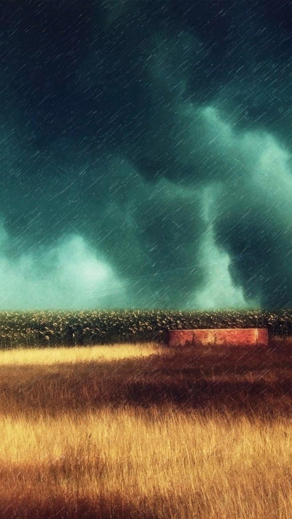 唯美的自然摄影