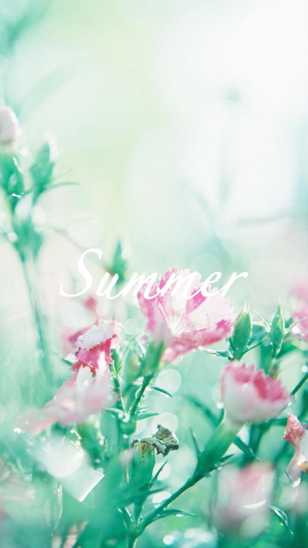 夏日清新淡雅花卉