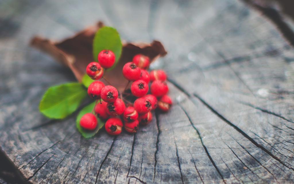 ​须臾繁华 冗余静谧