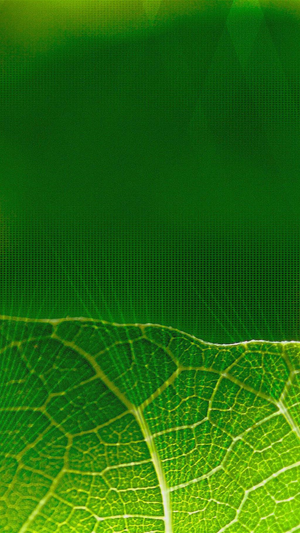 中兴AXON官方壁纸