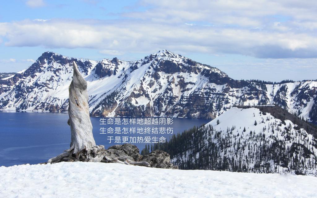 关于生命的语录