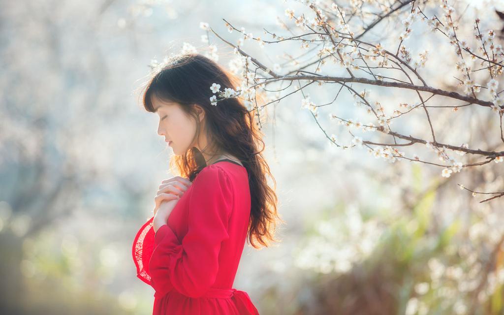 红裙意境美女写真