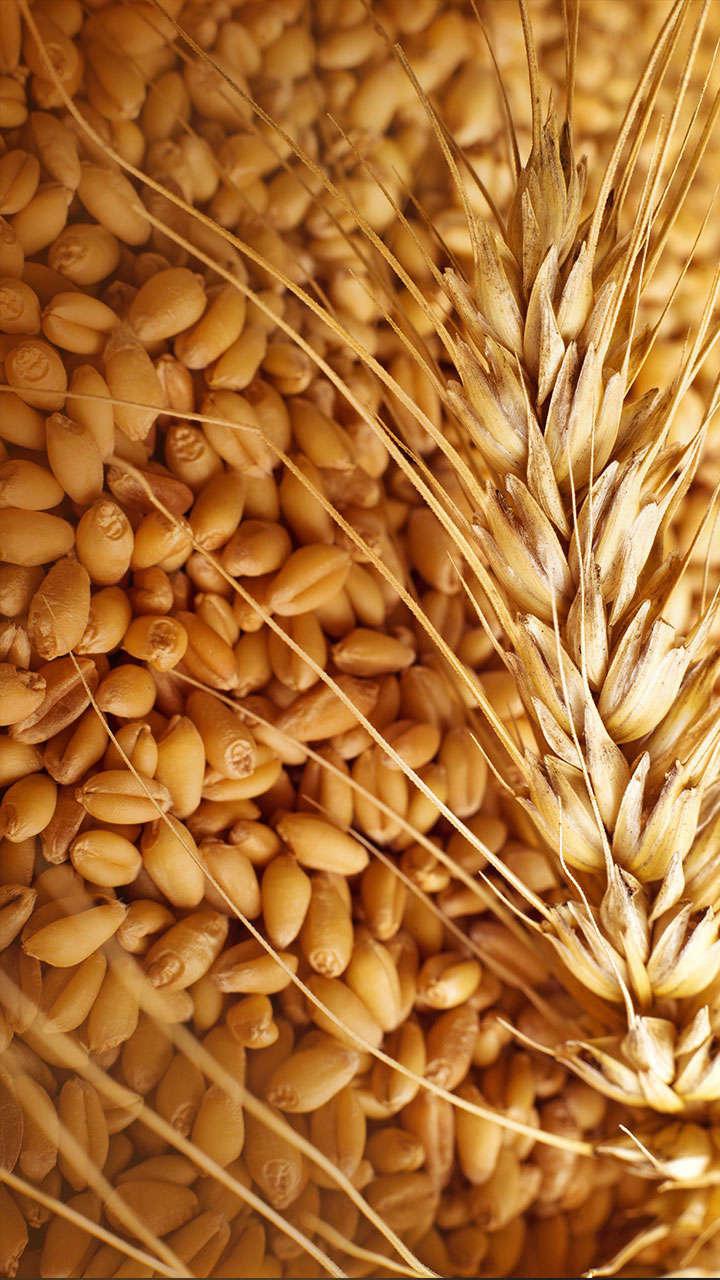 三星Z3内置壁纸