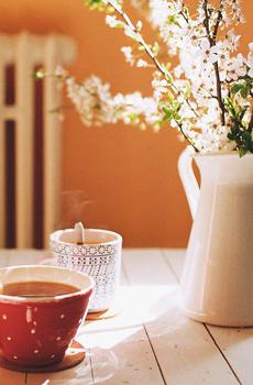 唯美静物摄影-1