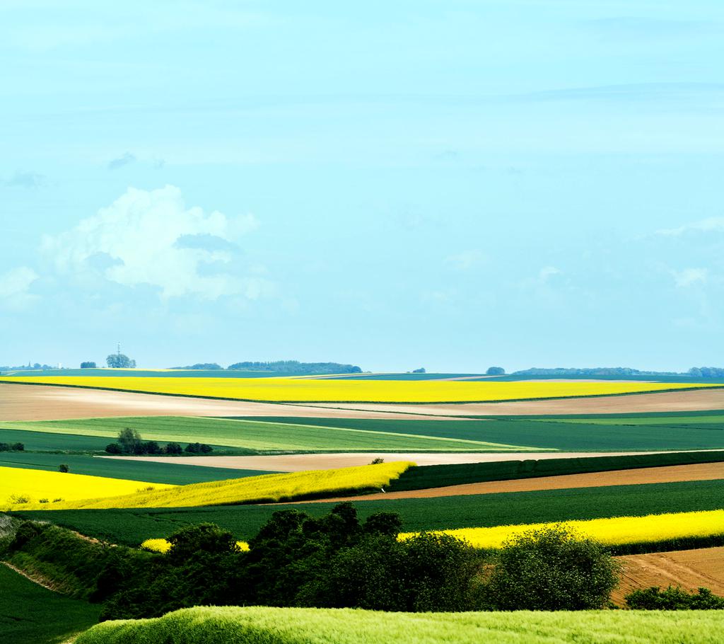 飞利浦W8555内置壁纸