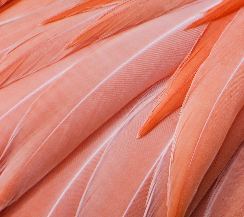 中兴Axon内置壁纸