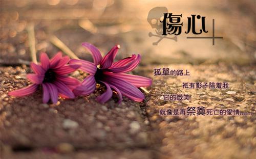 lomo风格唯美鲜花